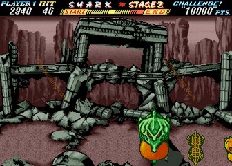 image de The First Funky Fighter